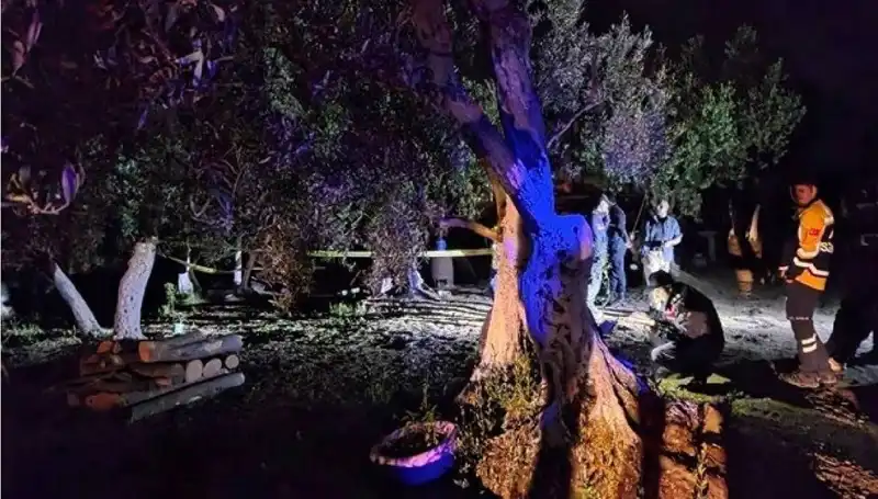 Çiftlikteki Baltalı Vahşette Şok Tutuklama! Olayın Ardındaki Gizem Ne?