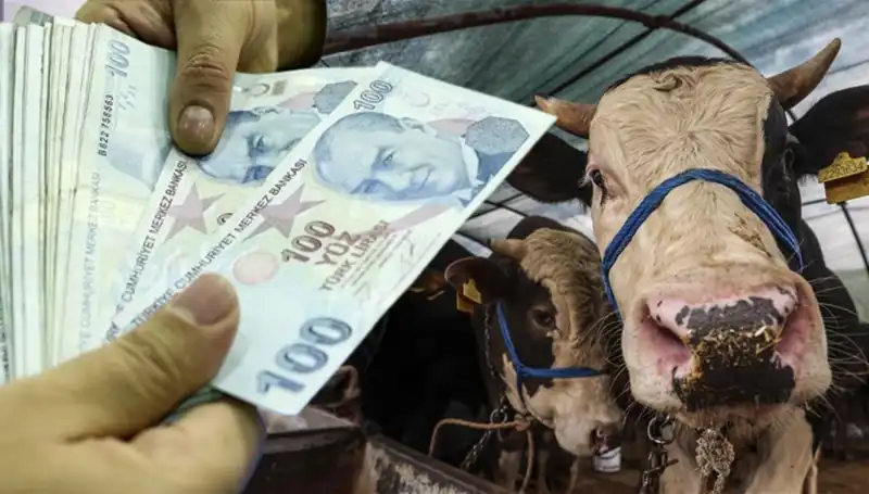 Kurban Bayramı Öncesi Maaşlar Yatacak mı? Emeklilere Özel Müjdeler!