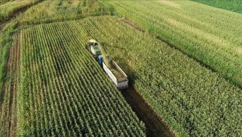 2025 Mart’ta Mazot ve Gübre Desteği Ödemeleri Hakkında Son Gelişmeler