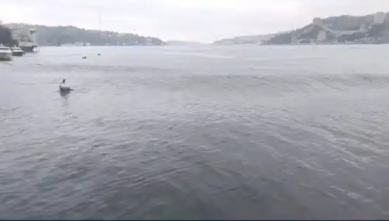 İstanbul'u Sarsan Deprem: 6,2 Büyüklüğündeki Sarsıntı Denizde Dalgalar Oluşturdu!