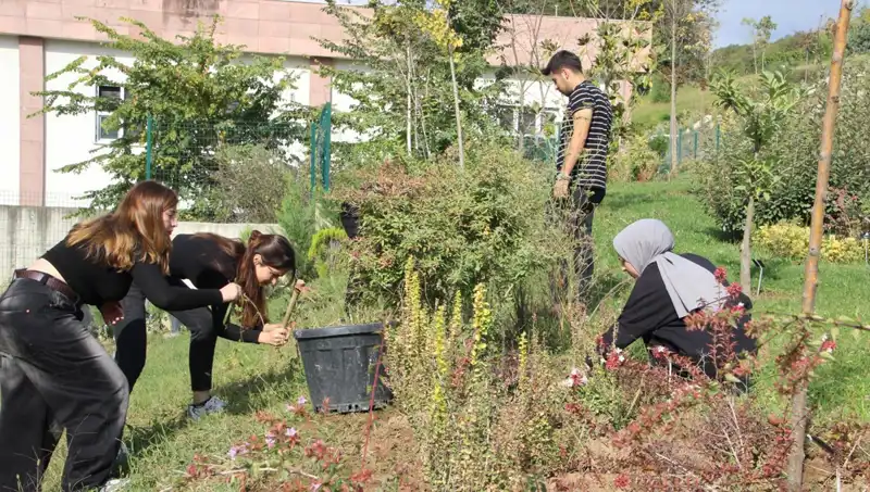 Düzce'nin Hayalini Gerçeğe Dönüştüren Girişimci: Dünya Çapında Başarı