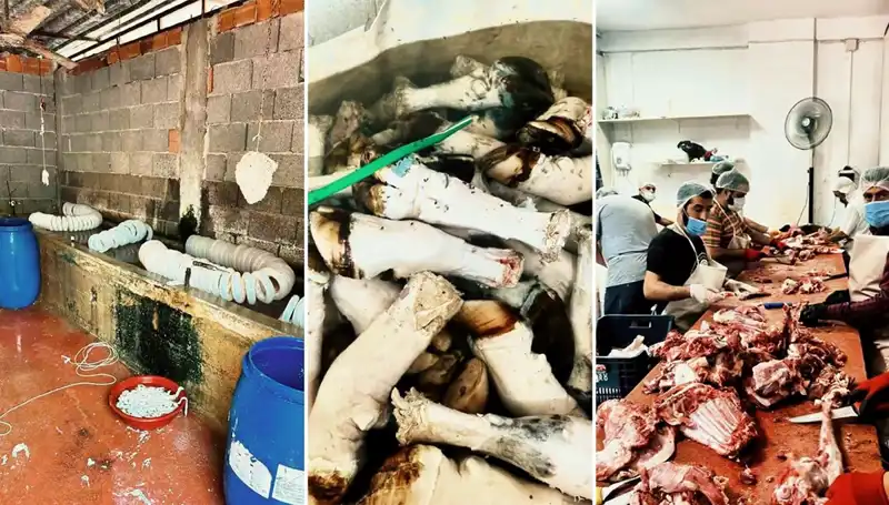 Adana'da Sağlıksız Paça Operasyonu: Yüzlerce Kilo Ele Geçirildi!