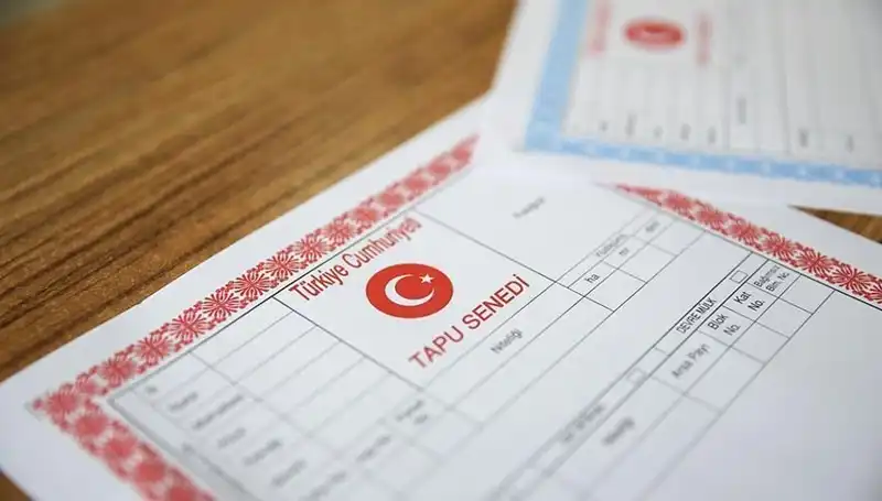 Hisseli Tapu Yalanıyla 100 Milyonluk Dolandırıcılık Ağı Oraya Çıkartıldı