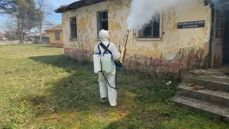 Çiftçiler Kahverengi Kokarca ile Mücadelede Kenetlendi: Yeni Yöntemler ve Stratejiler