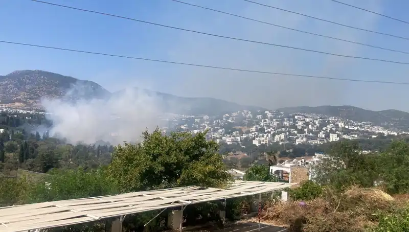 Muğla'daki Orman Yangınları Kontrol Altına Alındı: İşte Son Durum