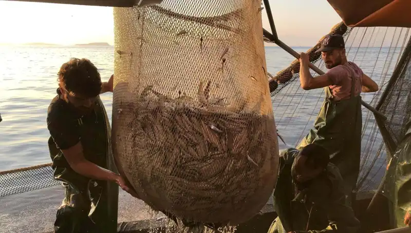 Balıkçılar İş Bıraktı: İhlal Edenlere Uygulanan Ceza Sınır Tanımıyor!