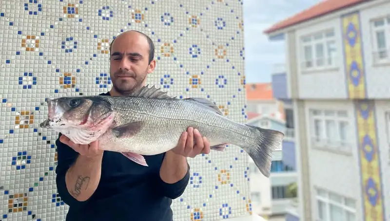 7,5 Kiloluk Dev Levrek Avında Neler Yaşandı?