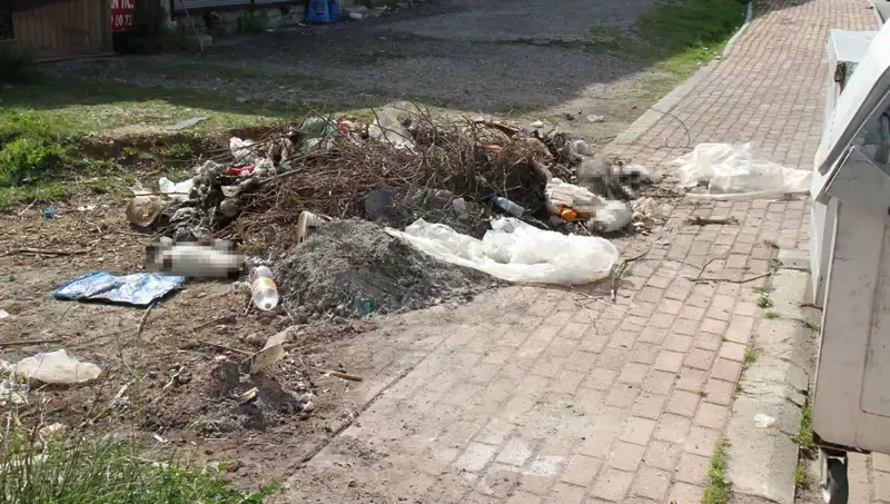 Antalya'da Vahşet: 10 Kedi Ölü Bulundu, Soruşturma Başlatıldı