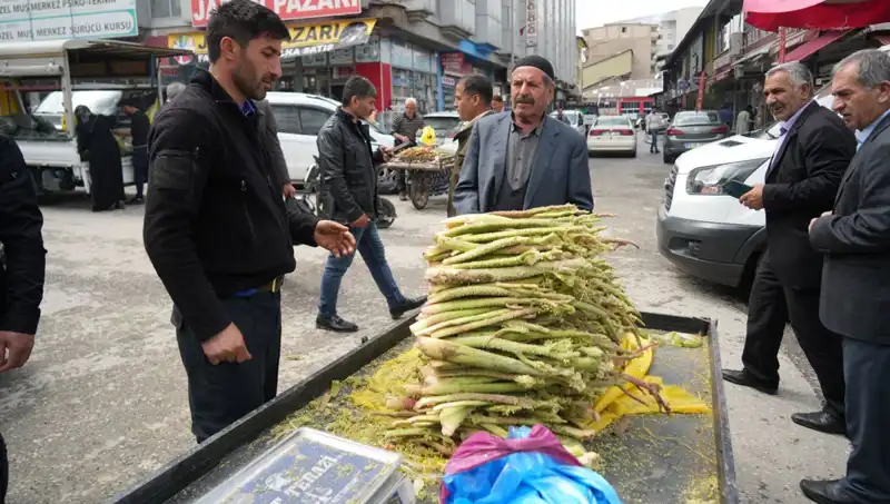 Dağlık Alanların Şifalı İksiri: Şeker ile Sağlık Sorunlarına Çare Bulunuyor!