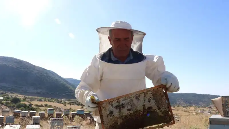 25 Yıl Sonra Mobilya İşini Bıraktı, 2 Ton Üretti: Bir Kadının İlham Verici Hikayesi