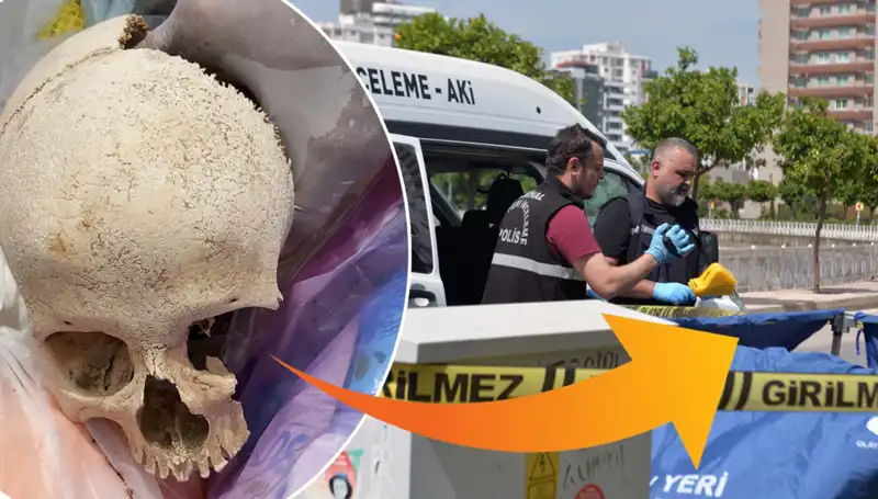 Sitenin Çöpünden Çıkan Kafatasının Gizemi Çözülüyor: Uzman Doktor Gözaltında!